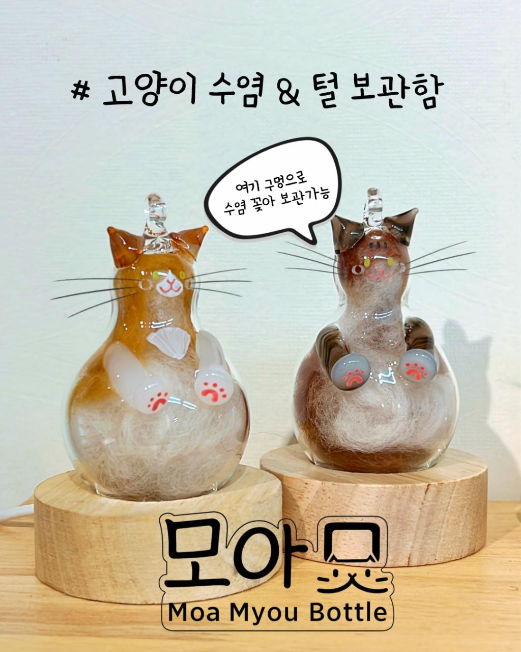 브랜드 라인업업 이미지